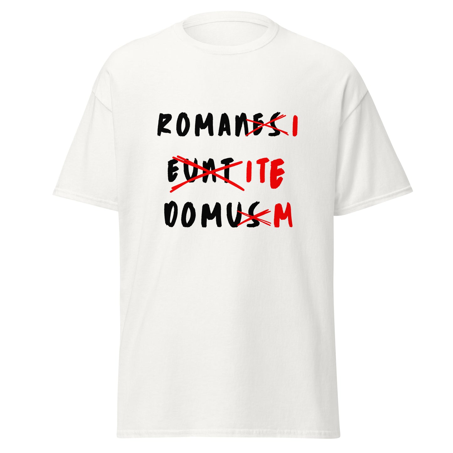 Romans Go Home – Life of Brian Latin Graffiti T-Shirt