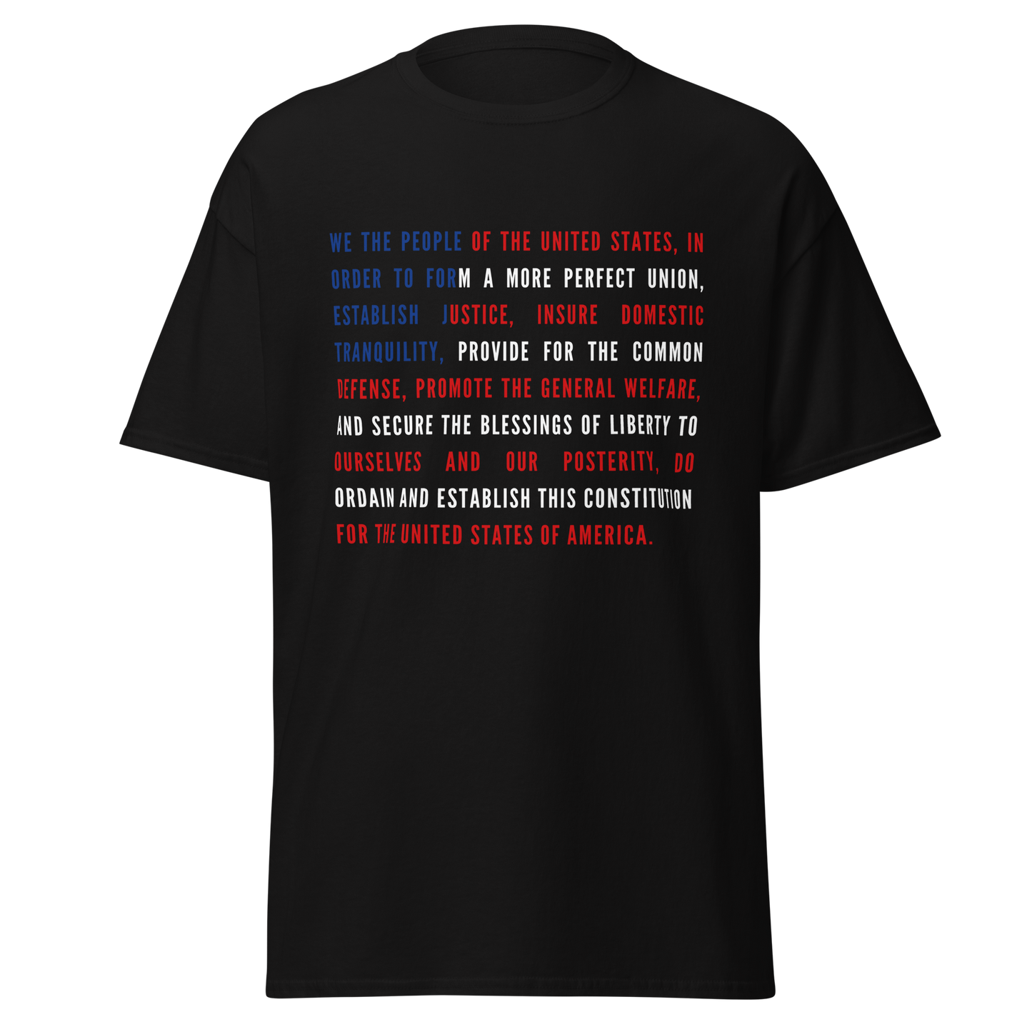 We The People of the United States (t-shirt)