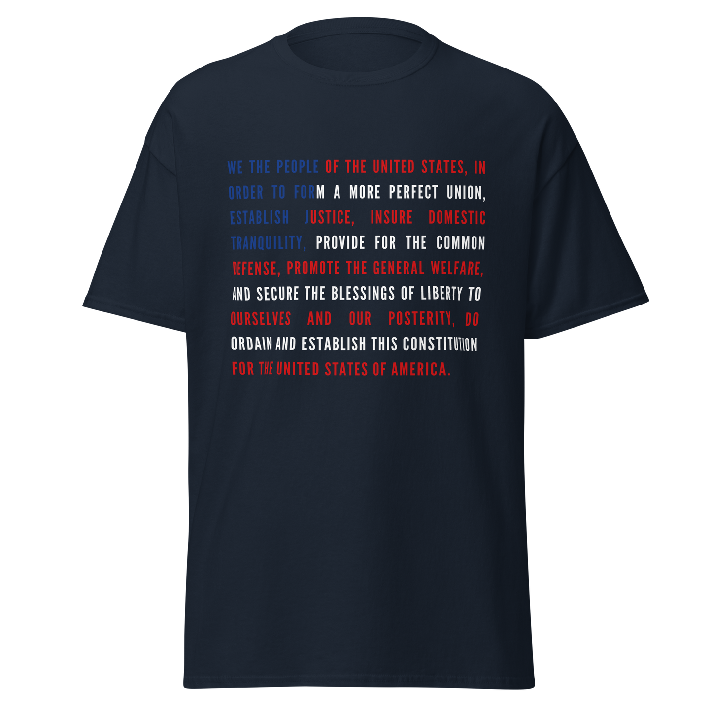 We The People of the United States (t-shirt)