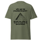 Why Are The Pyramids In Egypt? (t-shirt)